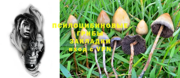 винт Михайловск