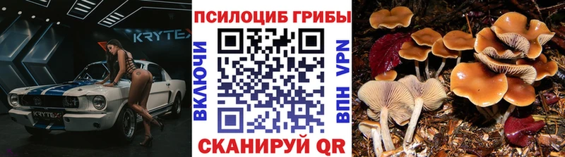 Псилоцибиновые грибы ЛСД  Екатеринбург 